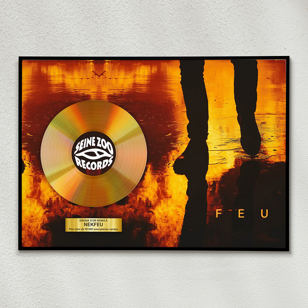 Nekfeu - Feu