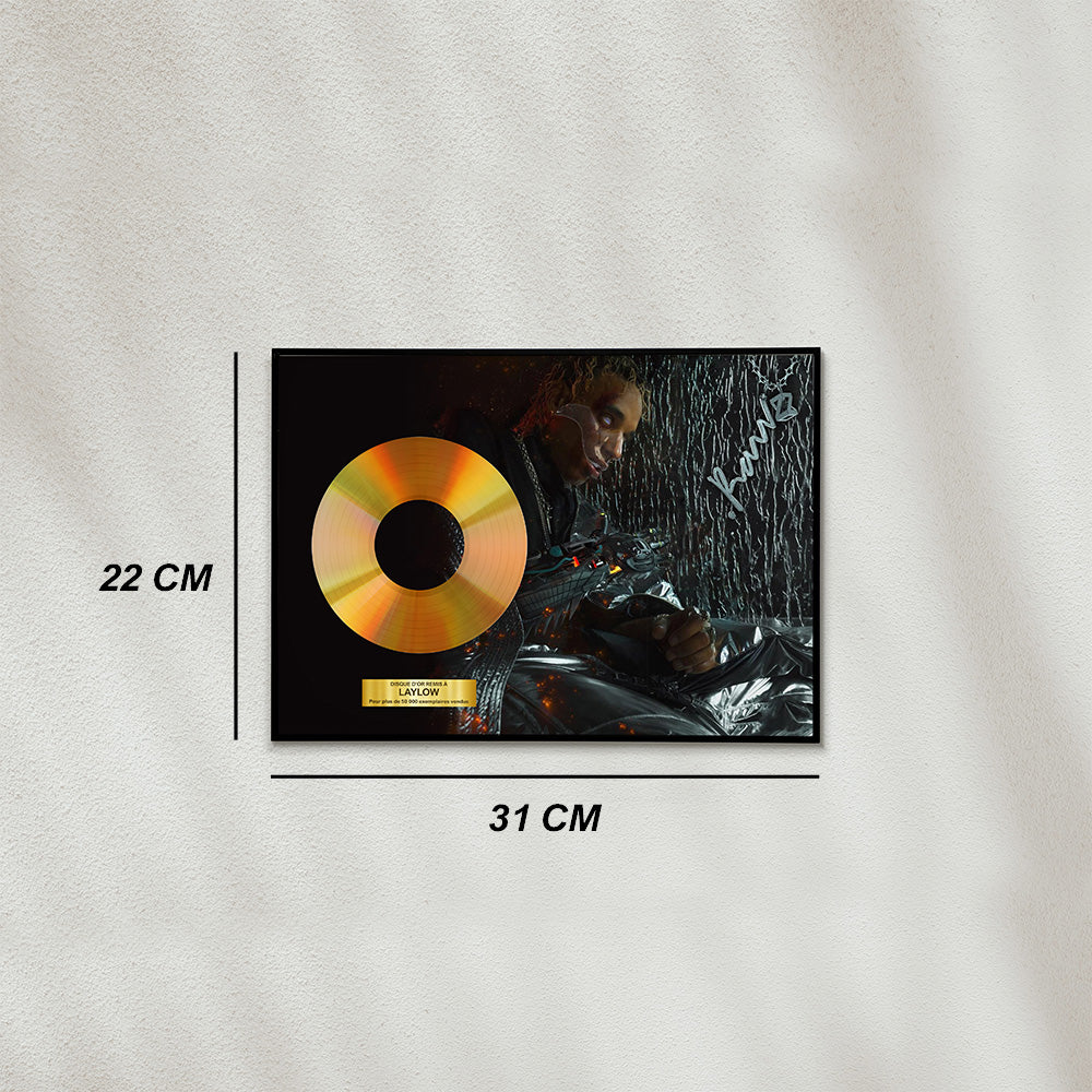Laylow - .Raw-z