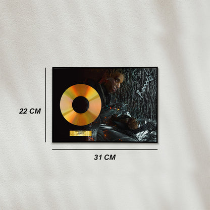 Laylow - .Raw-z